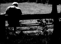 _41262994_bench416_300