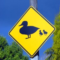 single-parent-love-life